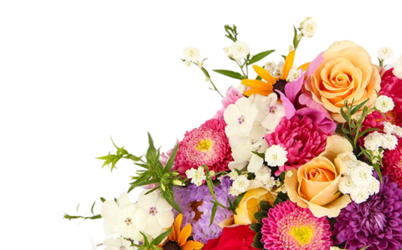 Banner Flower Image